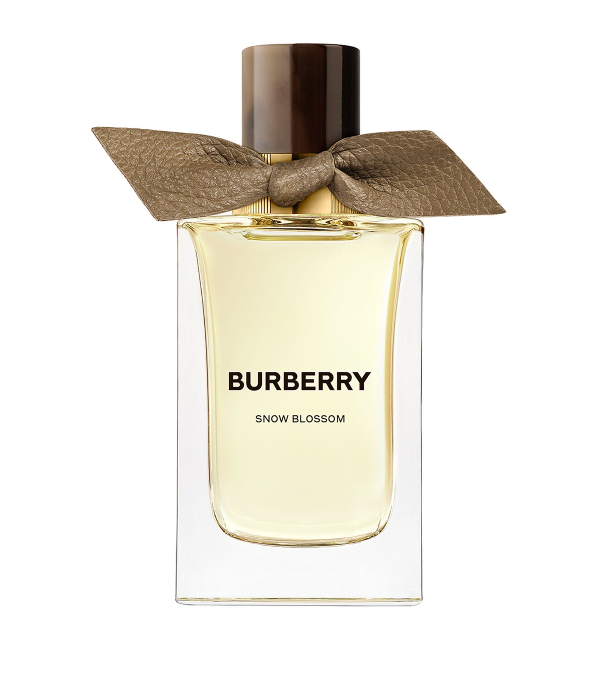 Snow Blossom Burberry аромат — новый аромат для мужчин и женщин 2023