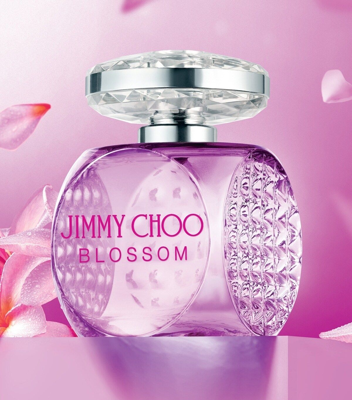 Jimmy Choo Blossom Special Edition 2023 Jimmy Choo parfum un nouveau