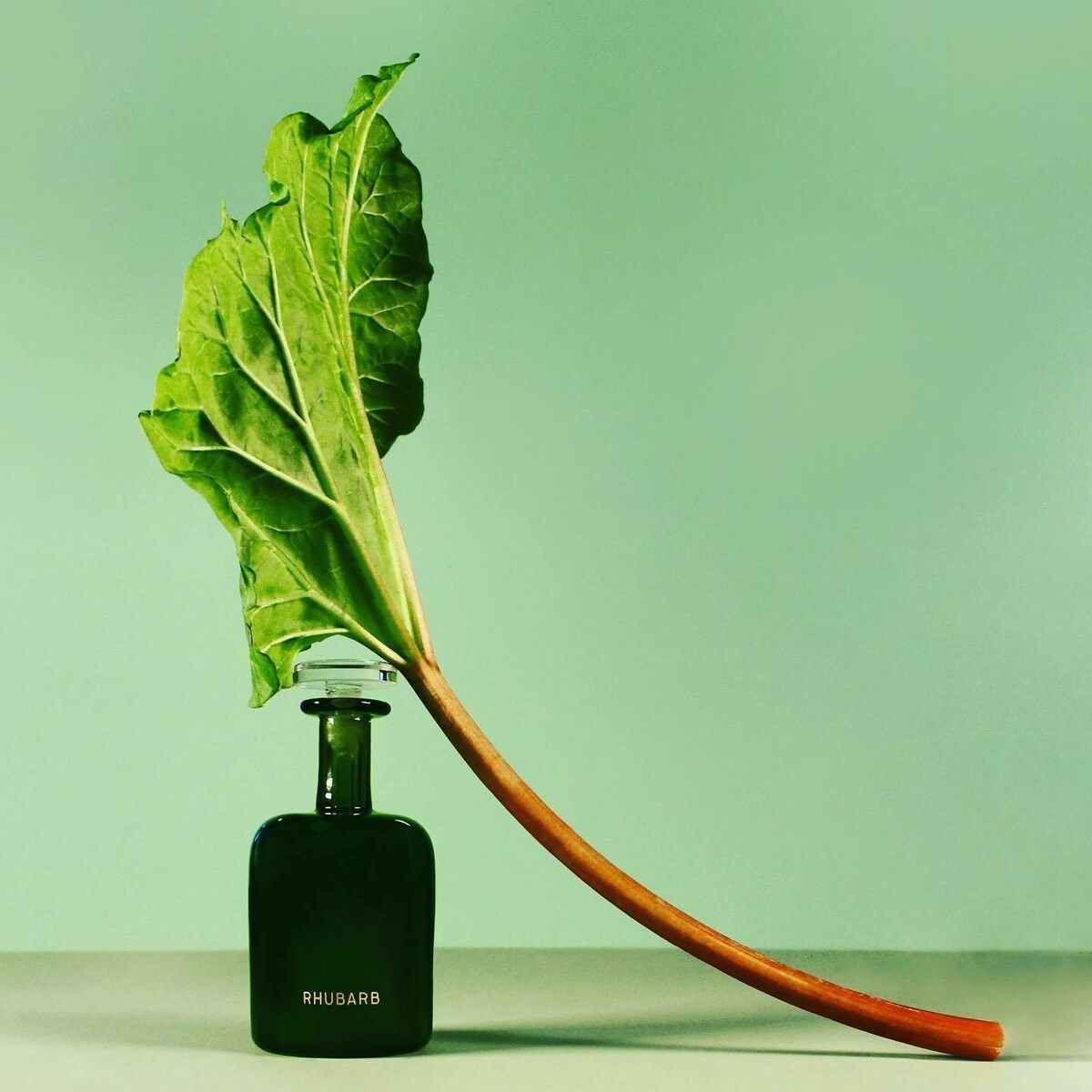 Rhubarb Perfumer H perfume - a novo fragrância Compartilhável 2023