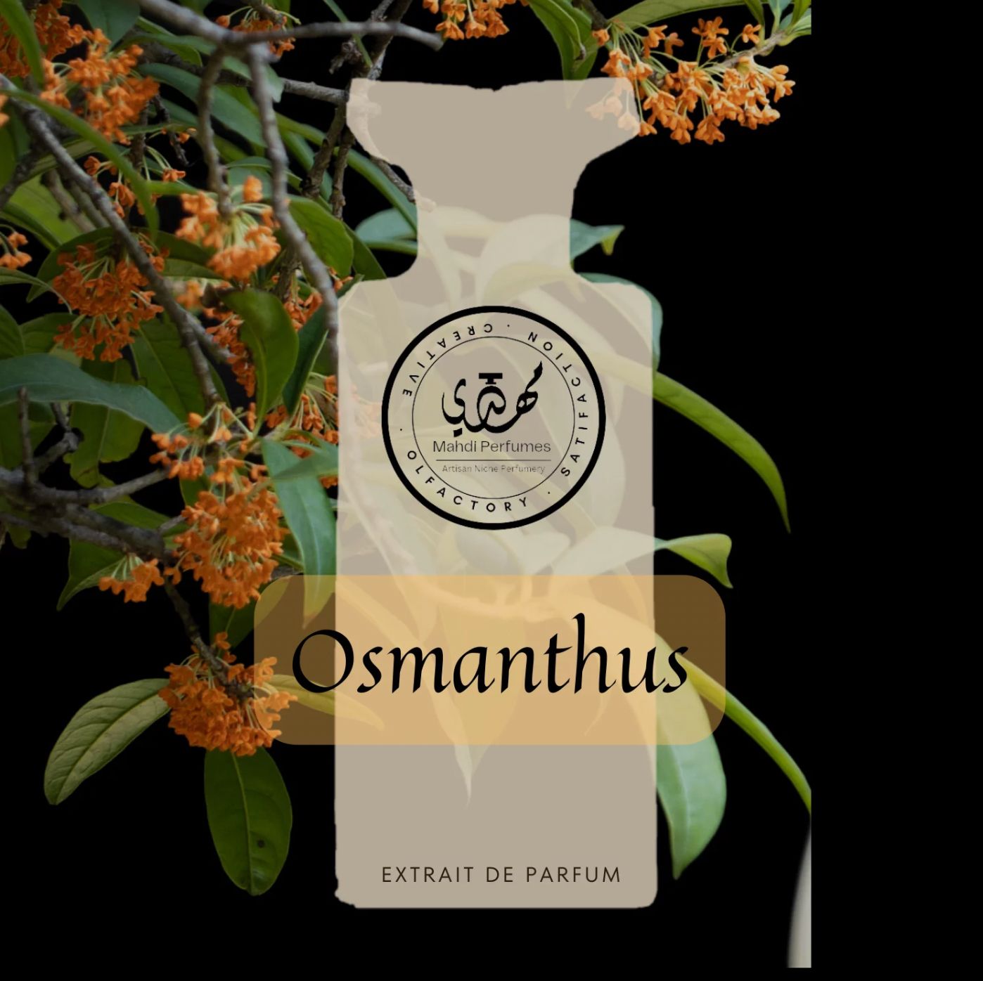 Osmanthus Mahdi Perfumes Colonia Una Nuevo Fragancia Para Hombres 2023