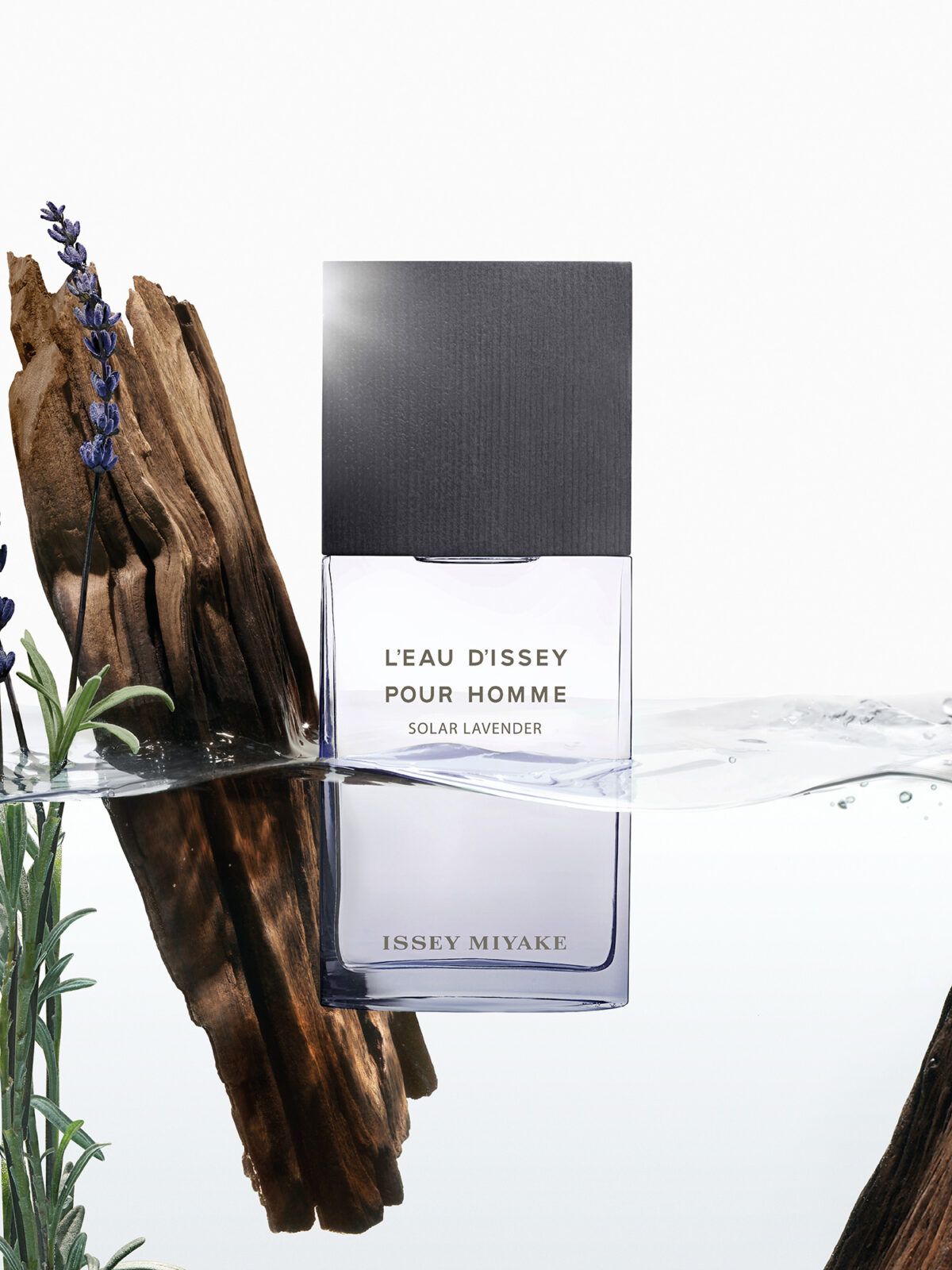 L'Eau d'Issey pour Homme Solar Lavender Issey Miyake Cologne - un ...