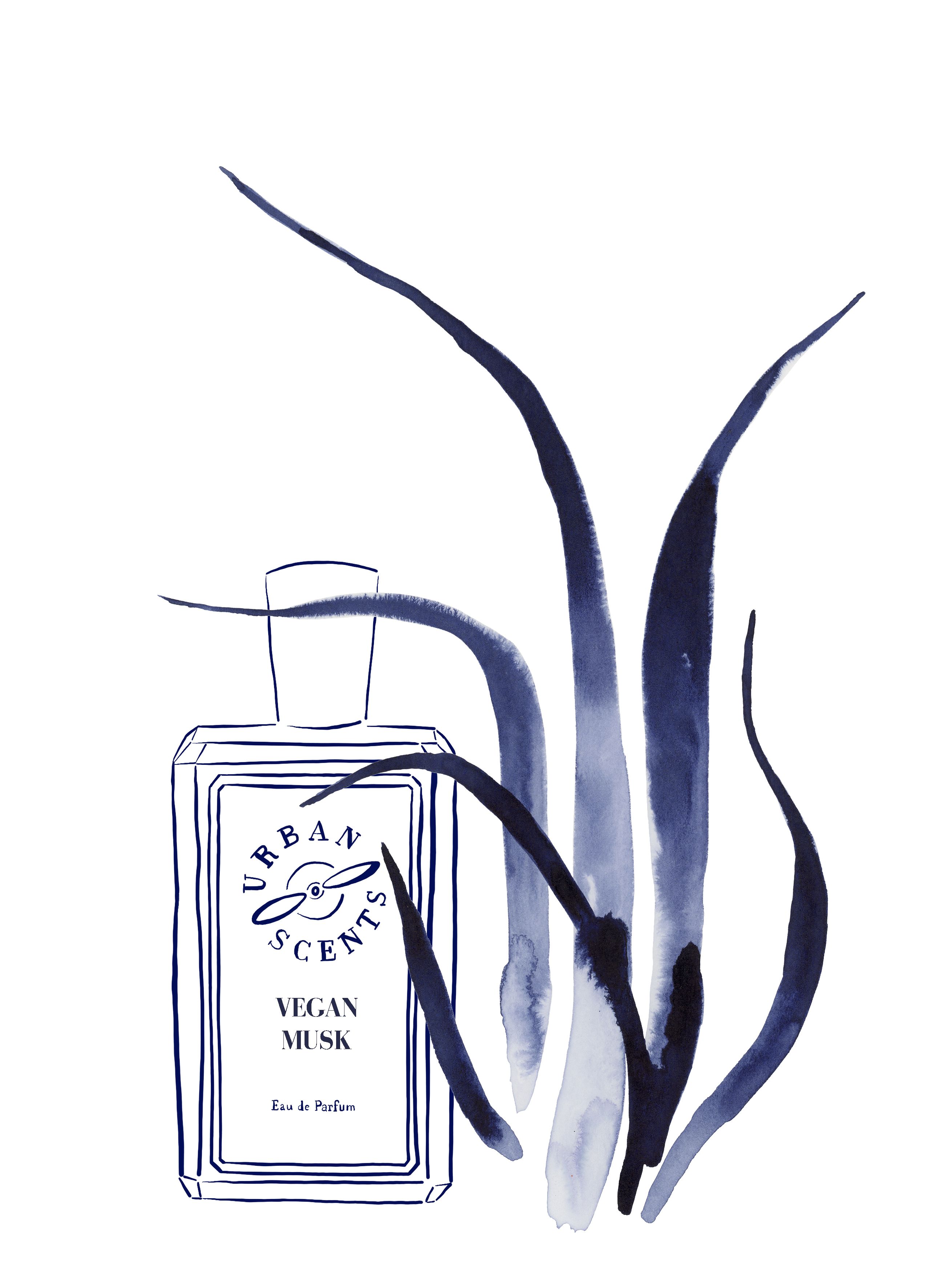 Vegan Musk Urban Scents عطر a جديد fragrance للجنسين 2024
