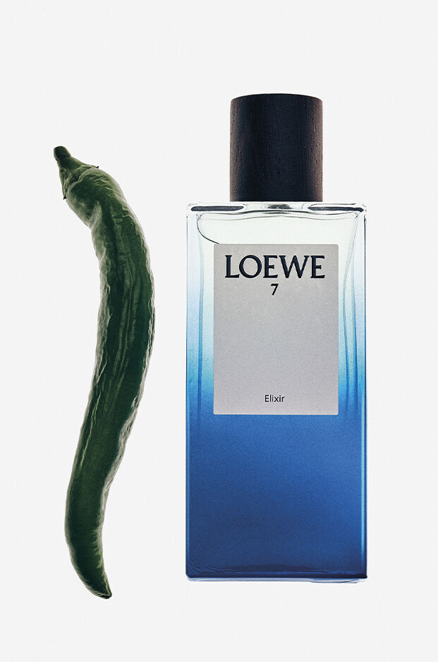 Loewe 7 Elixir Loewe Colônia - a novo fragrância Masculino 2024