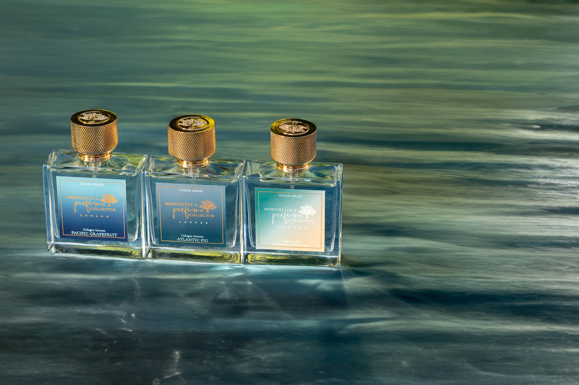 Atlantic Fig Memoirs Of A Perfume Collector عطر a جديد fragrance للجنسين 2024