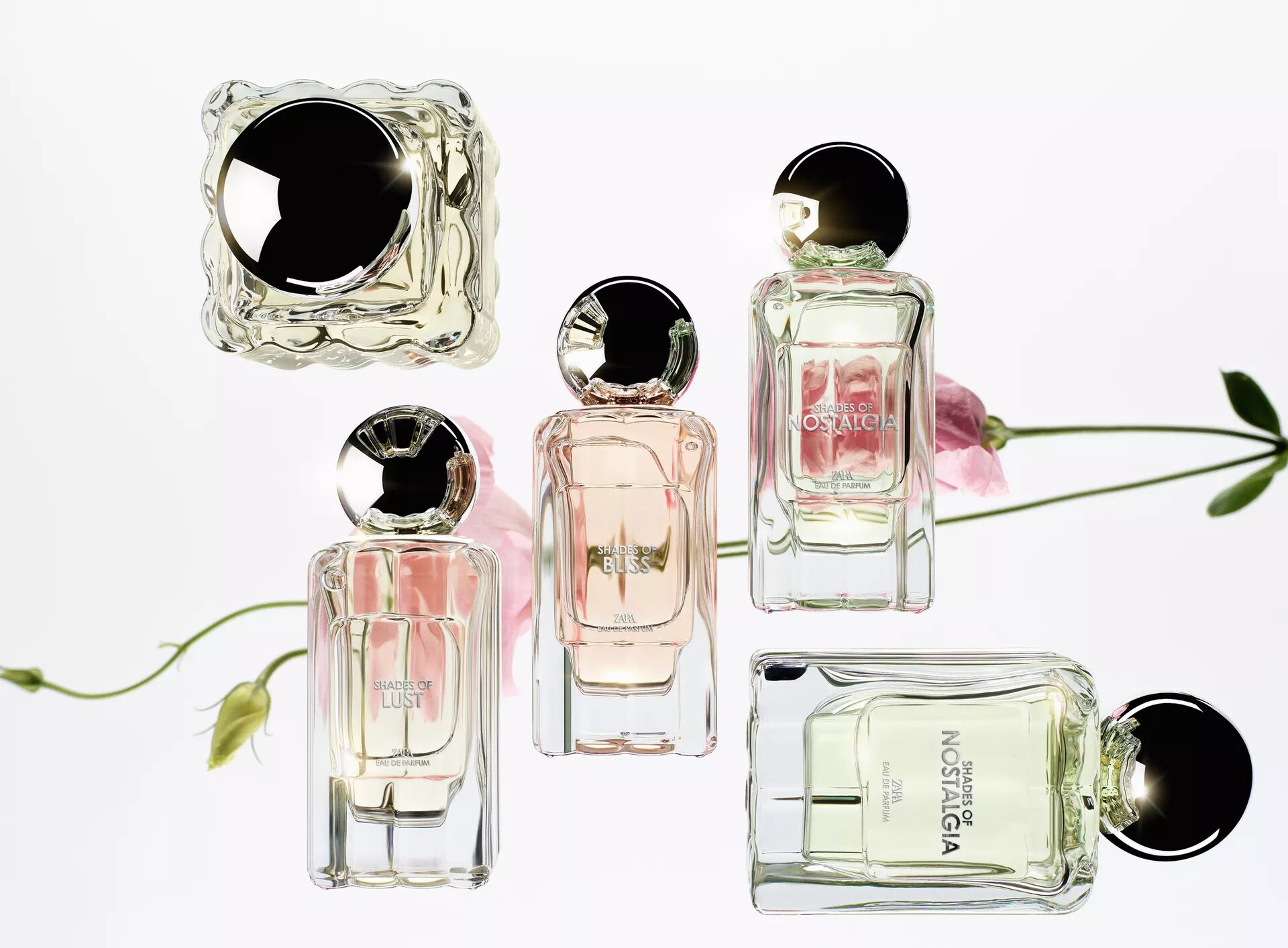 Shades Of Nostalgia Zara Parfum - ein neues Parfum für Frauen 2024