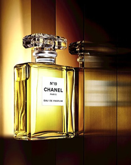 chanel no 19 eau de toilette 100ml