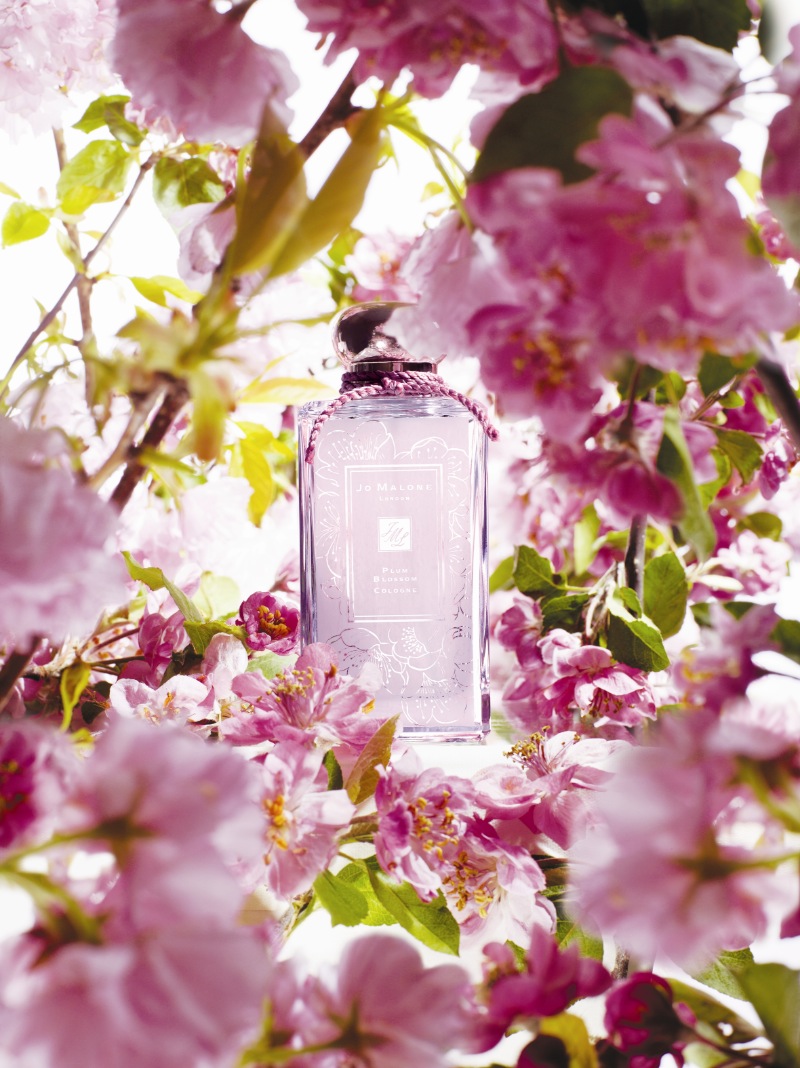 Plum Blossom Jo Malone London parfum un parfum pour femme 2012