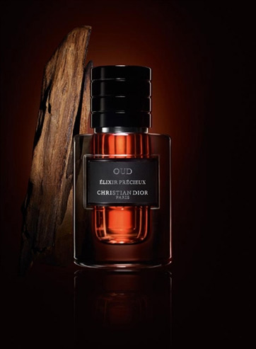 dior homme oud