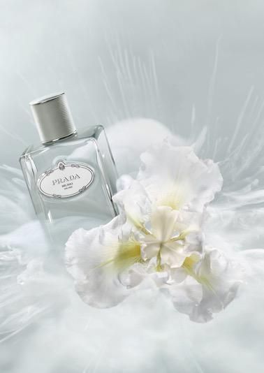 prada les infusions iris cedre