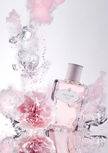 les infusions de prada rose