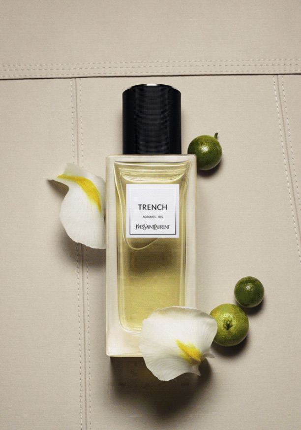Trench Yves Saint Laurent parfum un parfum pour homme et femme 2015 Trench Yves Saint Laurent parfum un parfum pour homme et femme 2015