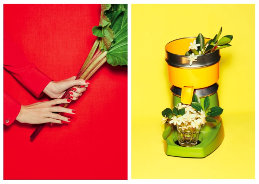 Eau de Rhubarbe Ecarlate Hermès perfume a fragrance for women and men