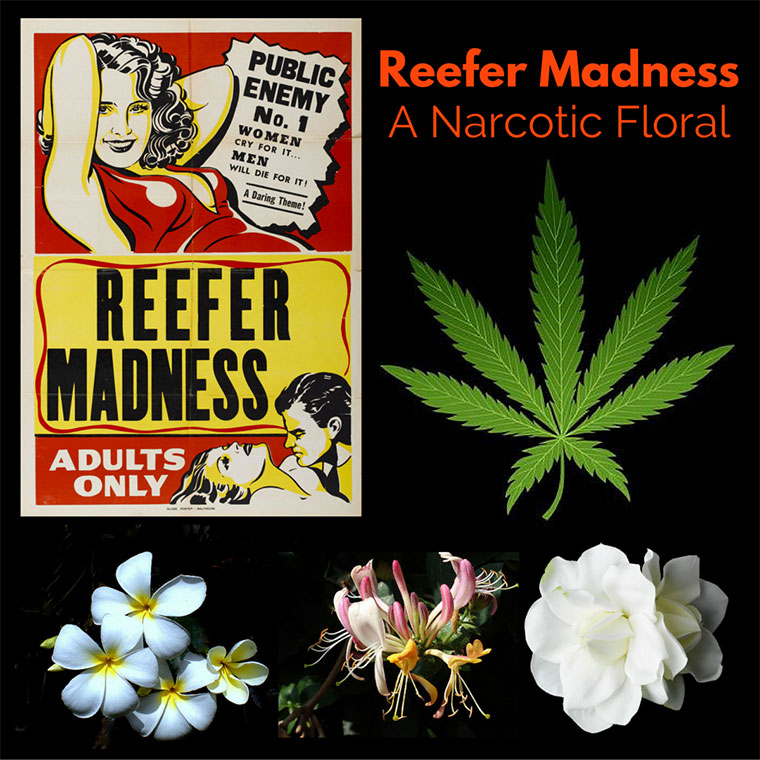 Reefer Madness Aether Arts Perfume عطر a fragrance للجنسين 2016