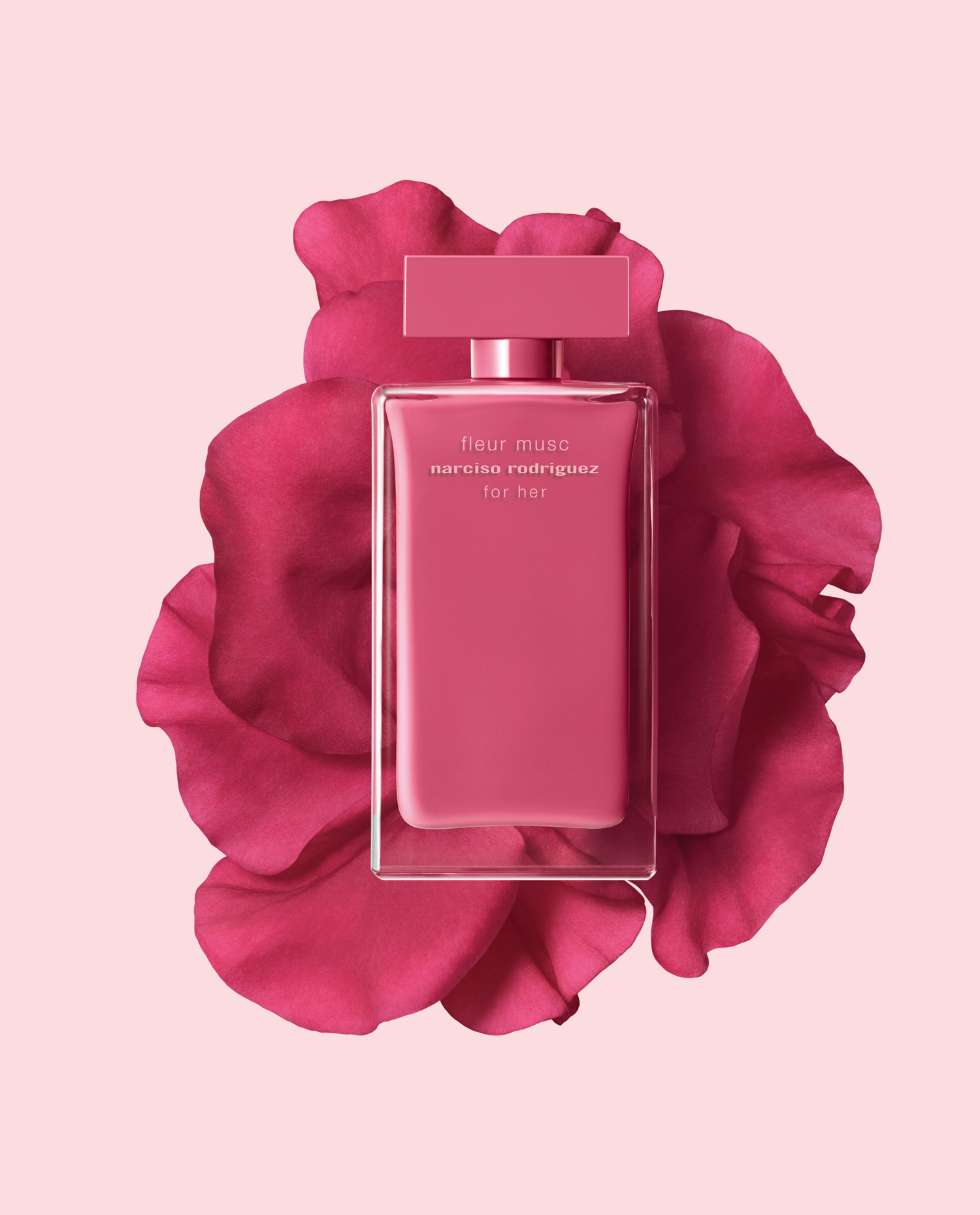 narciso fucsia profumo narciso fucsia profumo