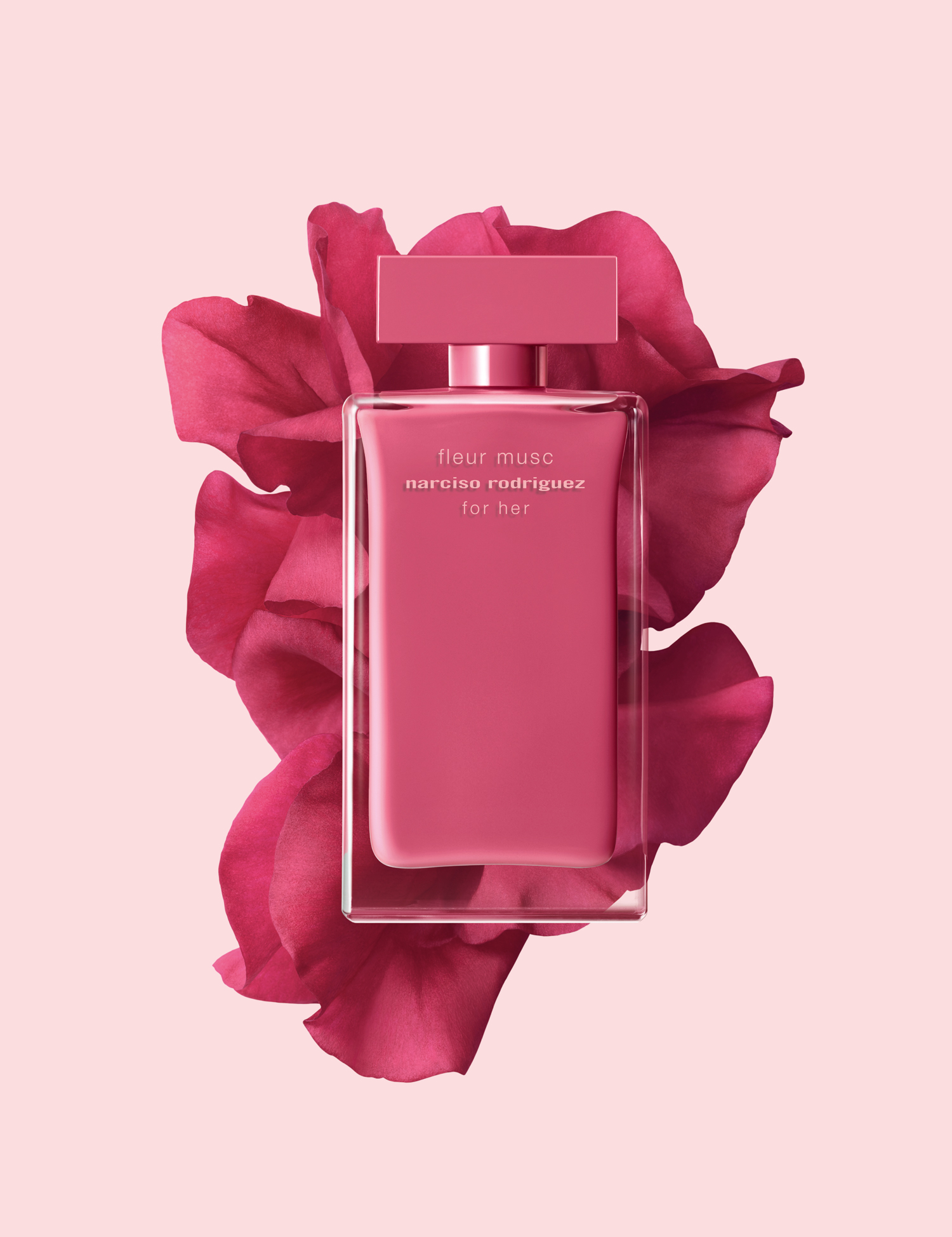narciso fucsia profumo narciso fucsia profumo