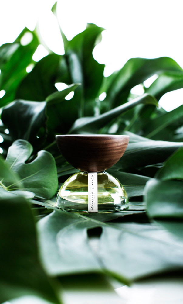 Monstera Xinú perfume - a fragrance for women and men 2017