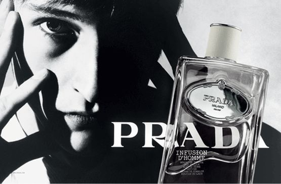 prada iris homme