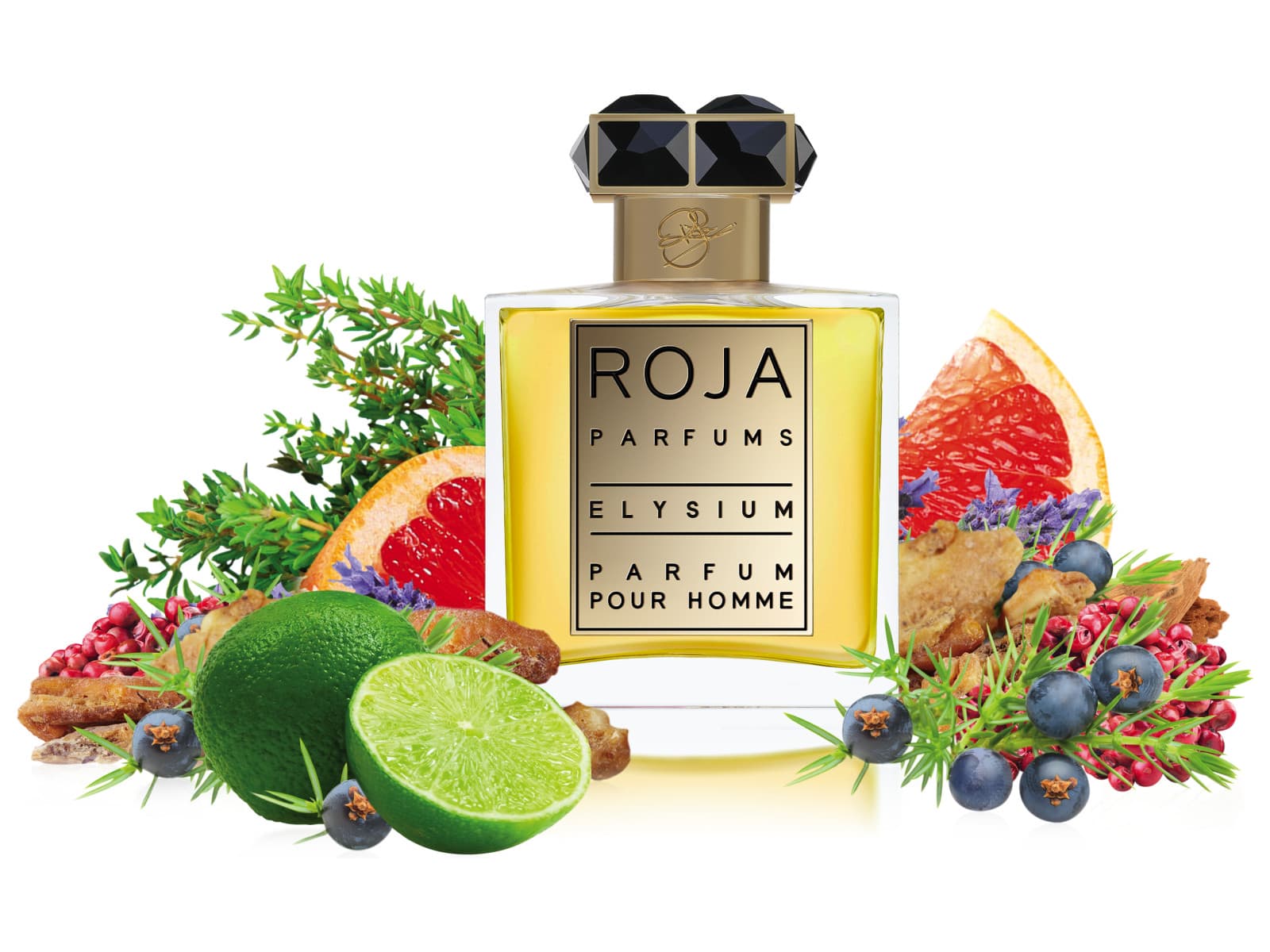 Roja dove elysium parfum. Духи Раджа Иллюзиум. The Chef's духи Elysian Anise Zephyr цена.