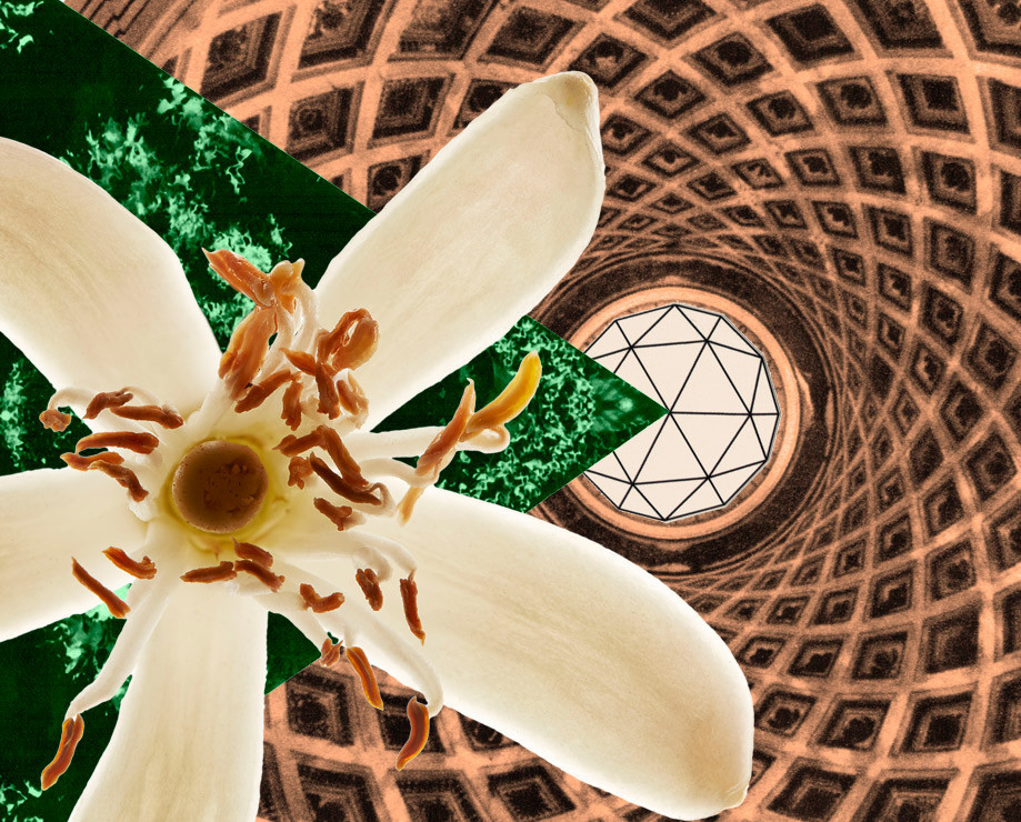 Megaflower Hermetica fragancia una fragancia para Hombres y Mujeres 2018