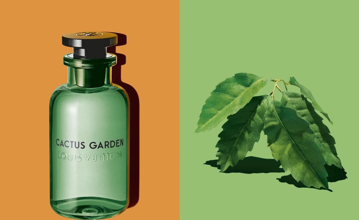 Louis Vuitton Cactus Garden Fragrantica Parfum Louis Vuitton Cactus Garden  Fragrantica Ombre Nomade Louis