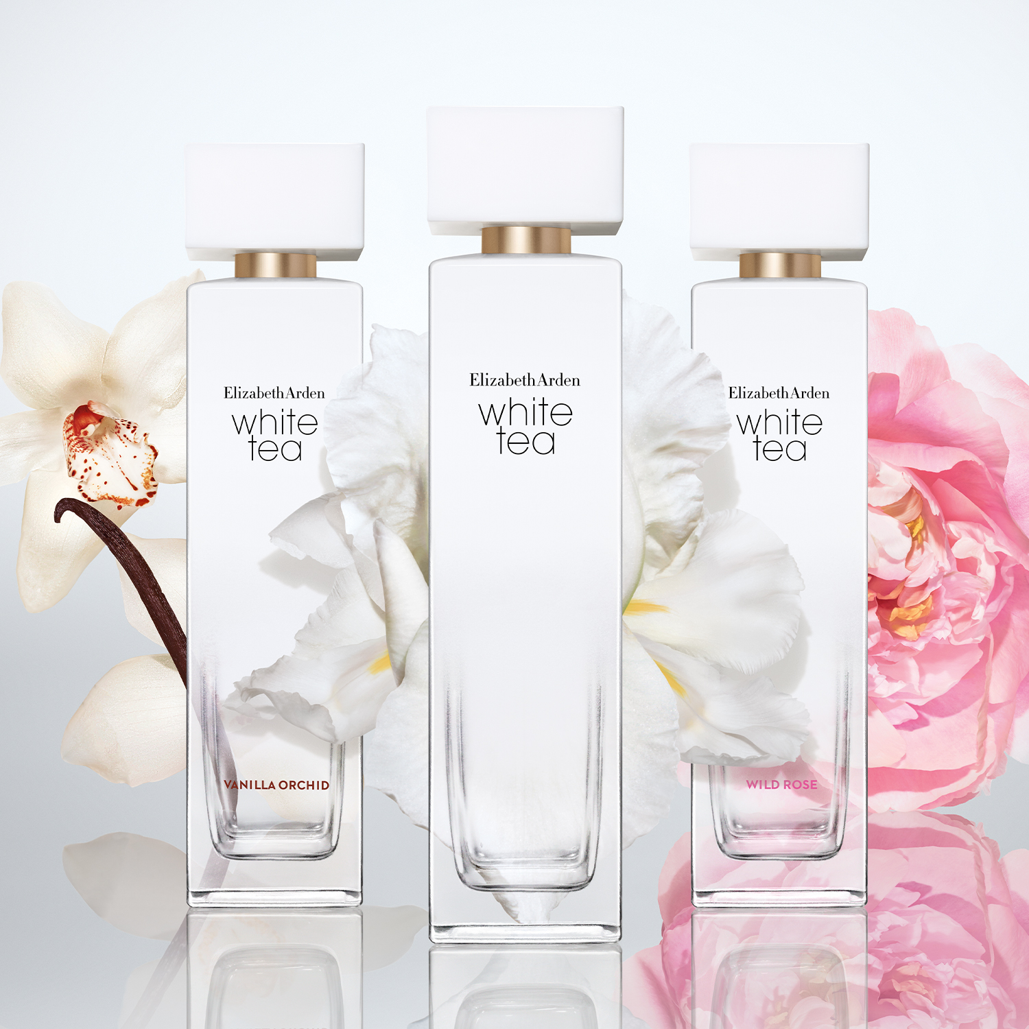 White Tea Vanilla Orchid Elizabeth Arden аромат — аромат для женщин 2019