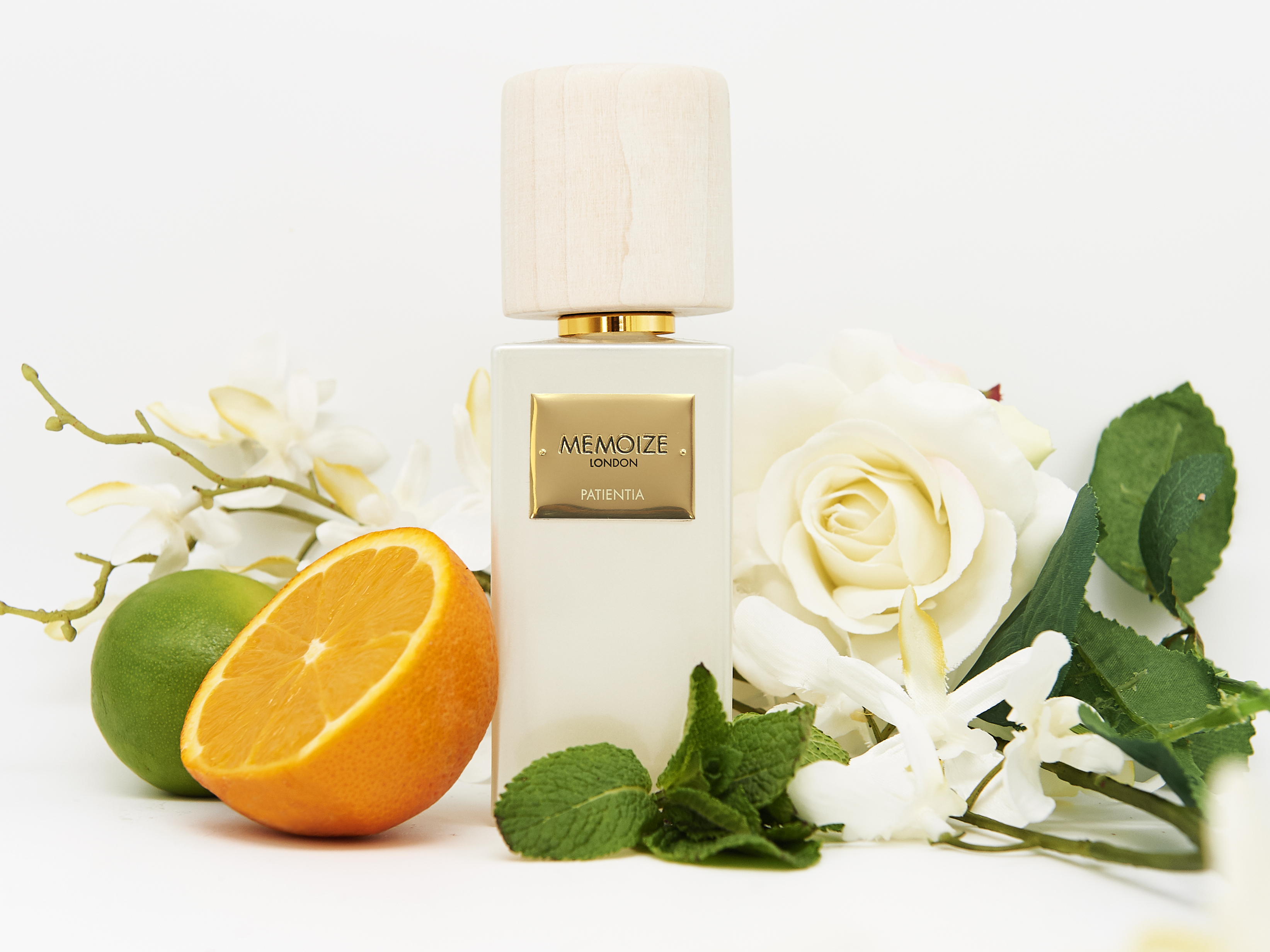 Patientia Memoize perfume - a new fragrance for women and men 2019