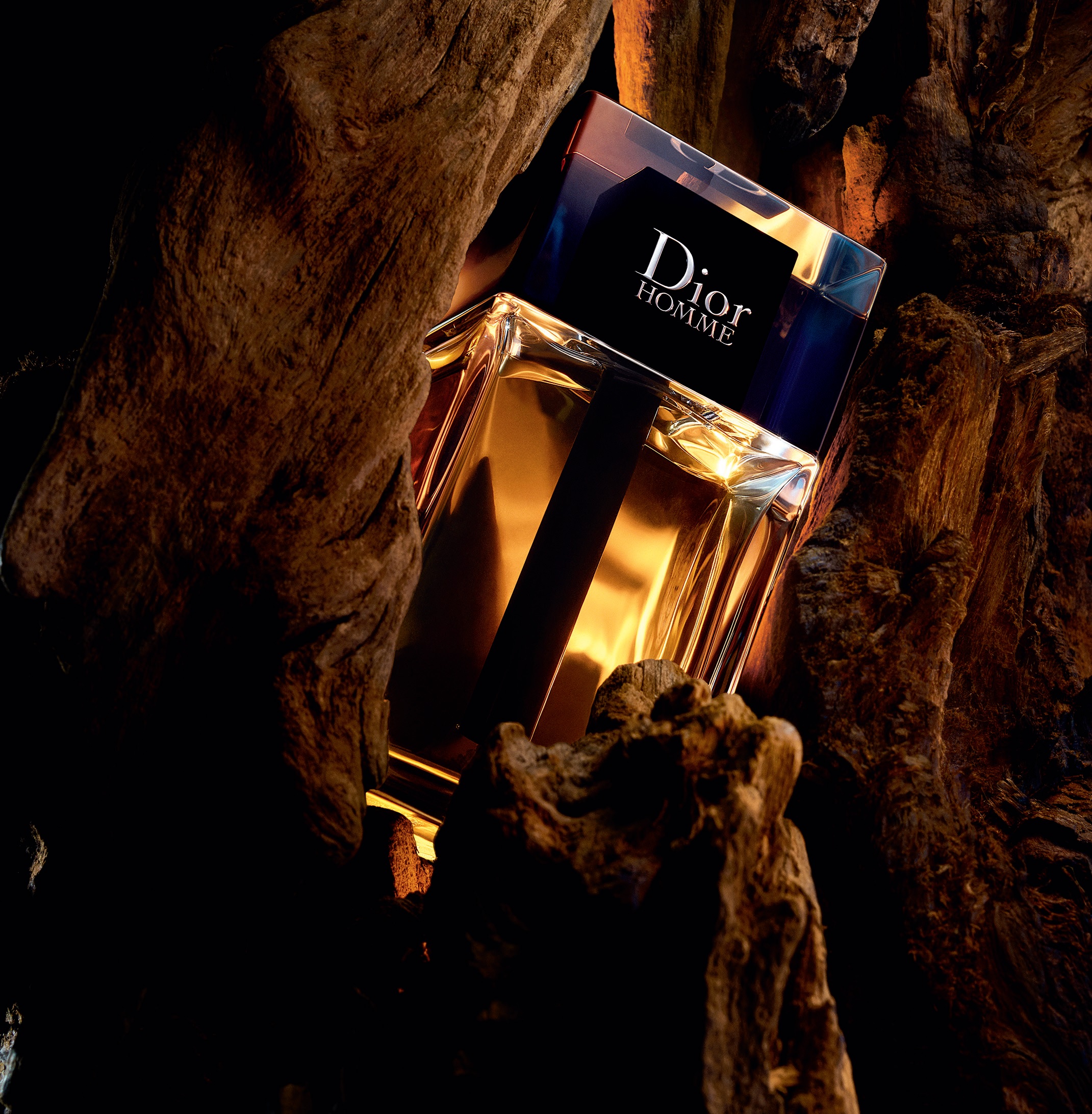 Dior Homme (2020) Christian Dior cologne - a new fragrance for men 2020