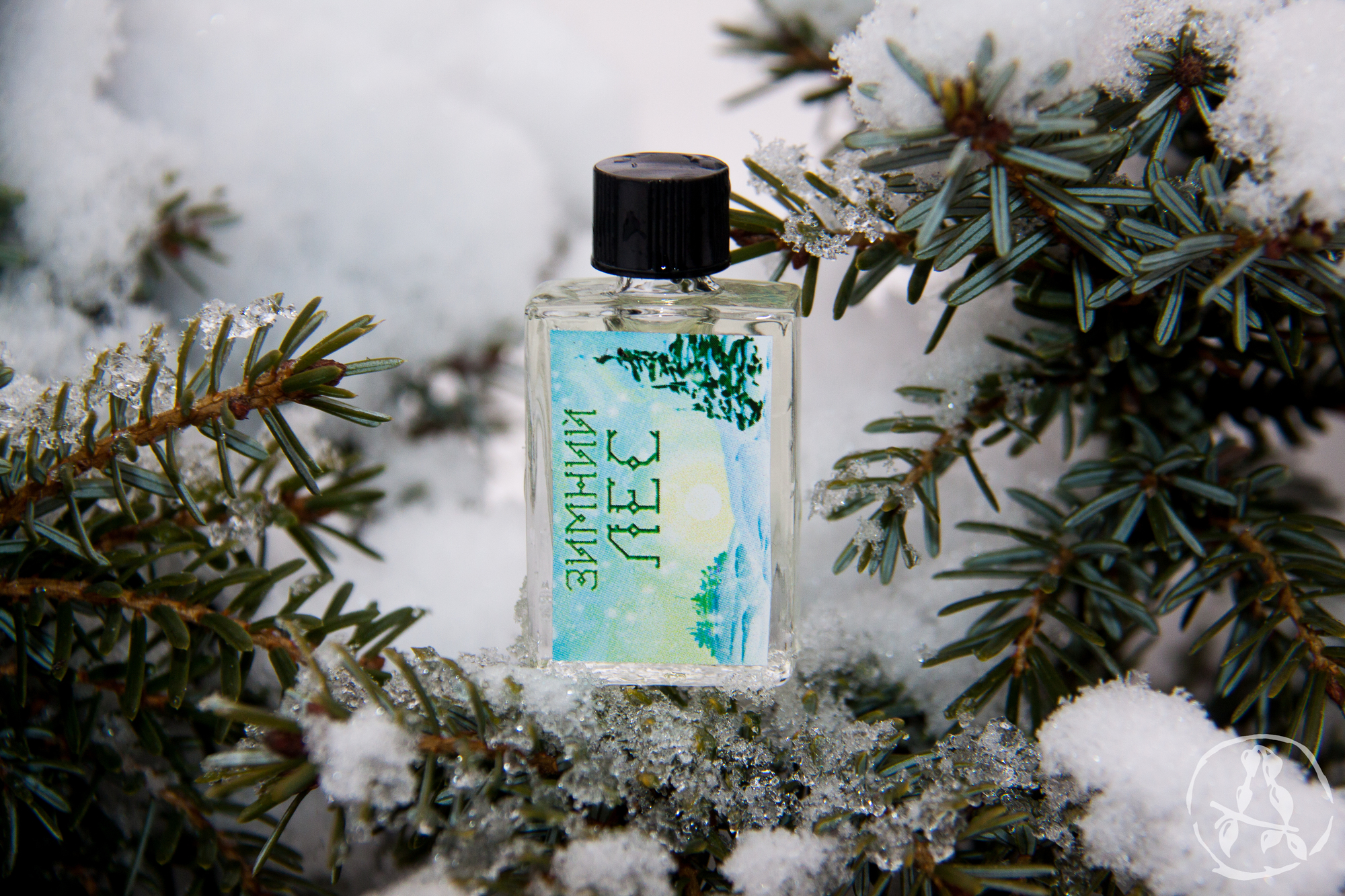 Winter Fragrances For Women