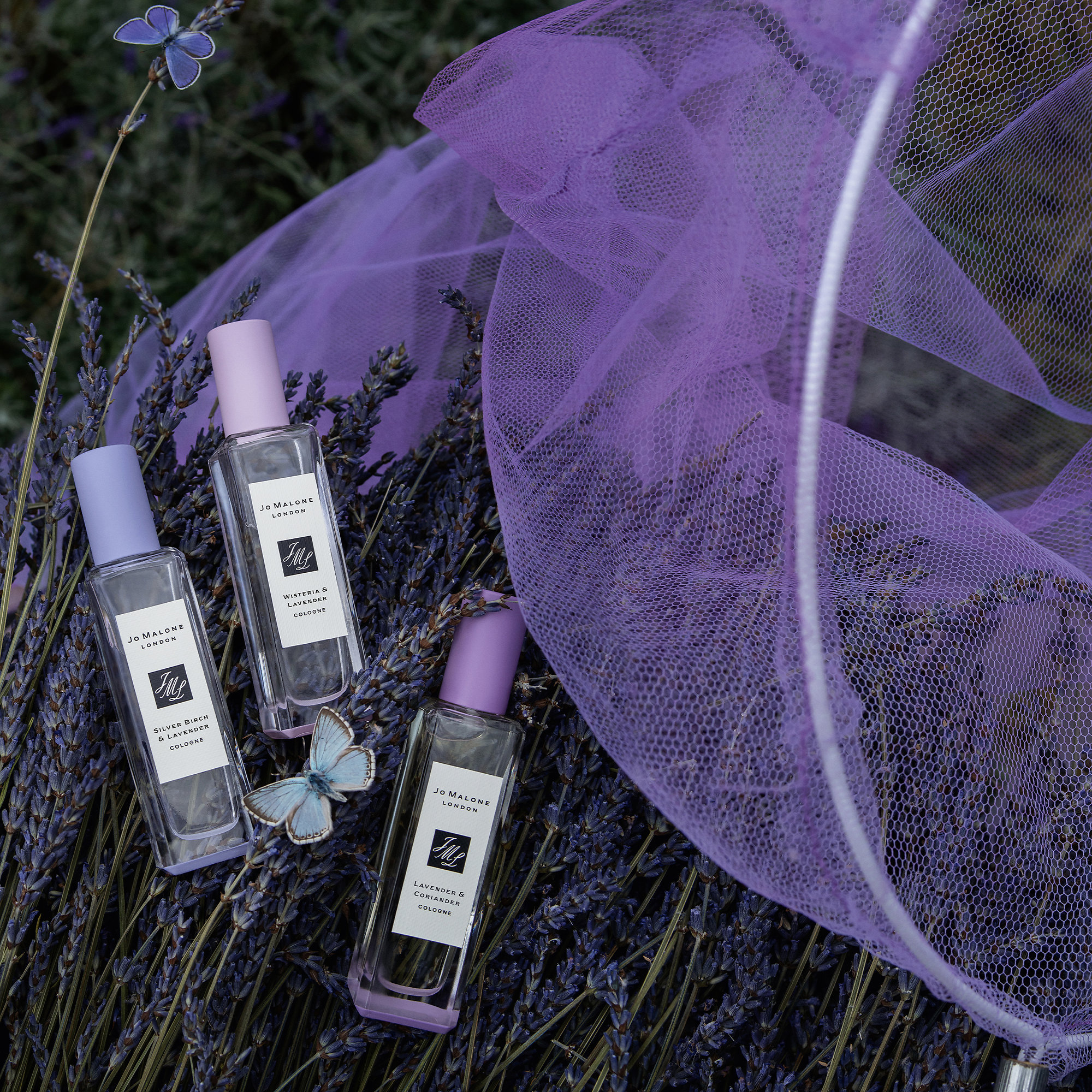 Lavender & Coriander Cologne Jo Malone London Parfum ein es Parfum