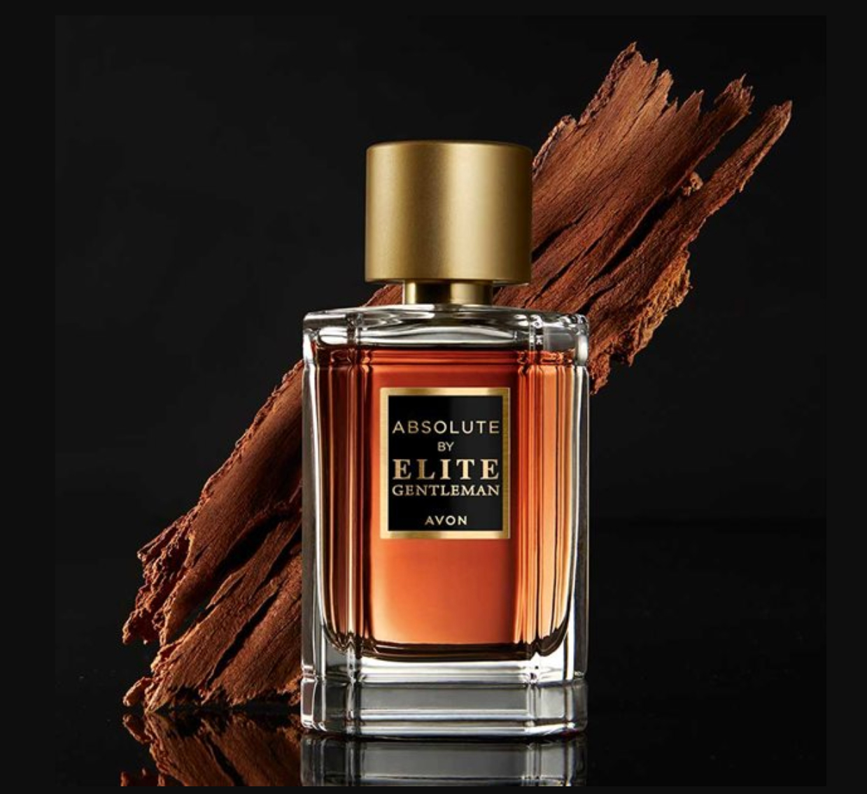 Absolute By Elite Gentleman Avon colônia - a novo fragrância Masculino 2020