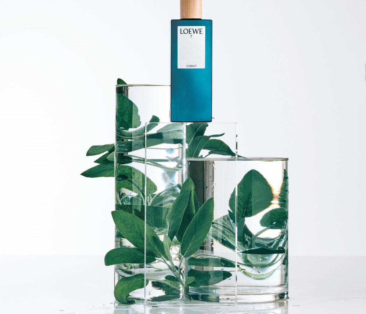 Loewe 7 Cobalt Loewe A Fragrance 2021