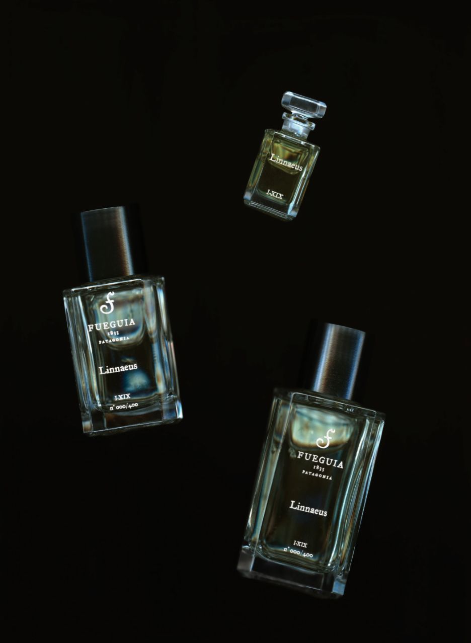 Linnaeus Fueguia 1833 香水 - 一款 2015年 中性 香水