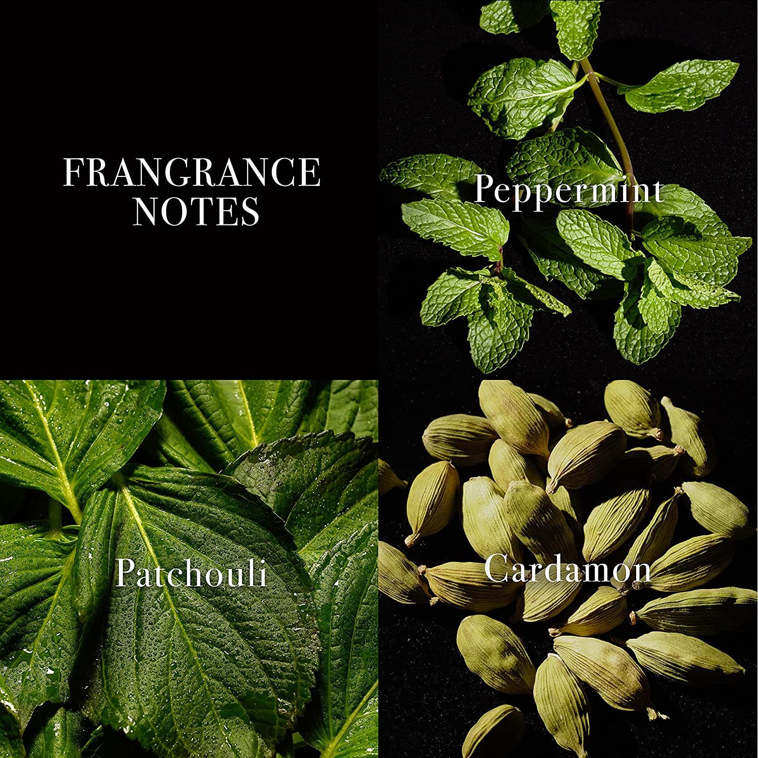 John Varvatos XX Indigo John Varvatos Cologne ein es Parfum für