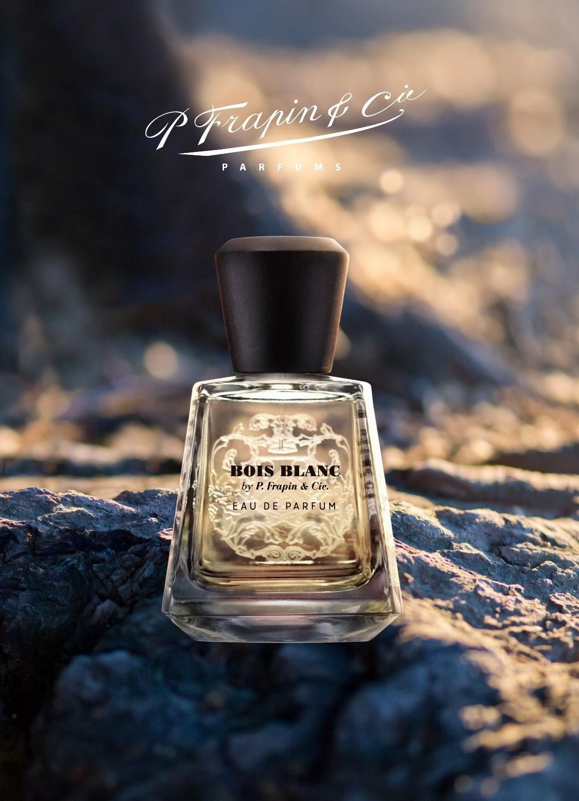 Bois Blanc Frapin Perfume A Novo Fragrância Compartilhável 2020