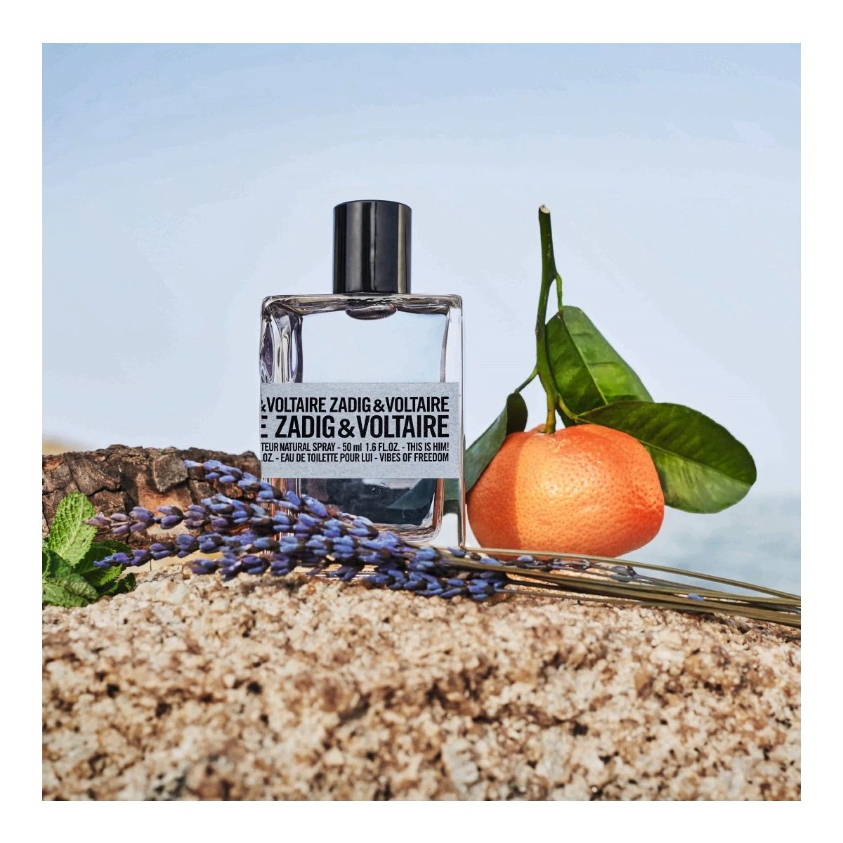 This is Him! Vibes of Freedom Zadig & Voltaire Cologne ein neues Parfum für Männer 2022