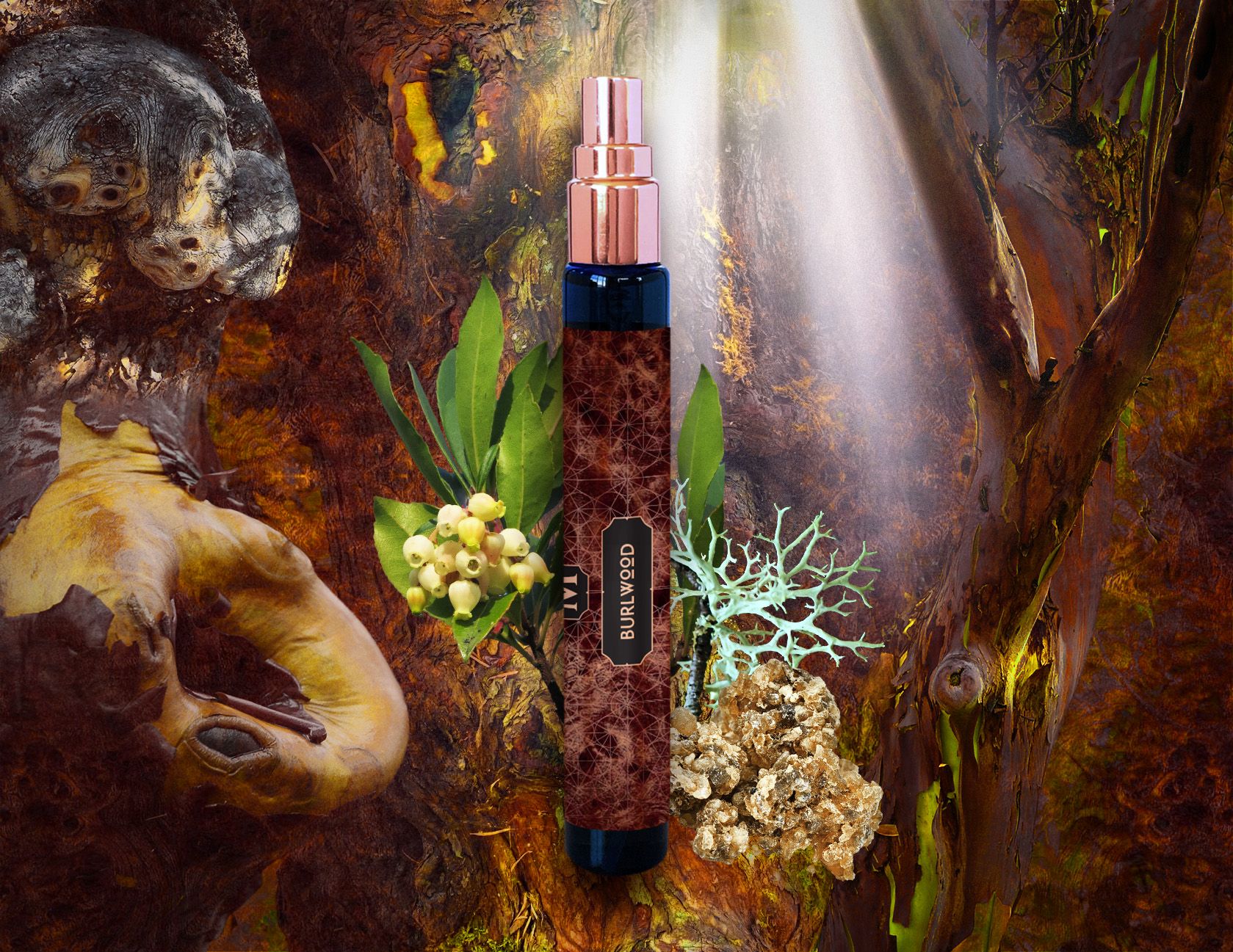 Burlwood House of Matriarch una fragranza unisex 2021