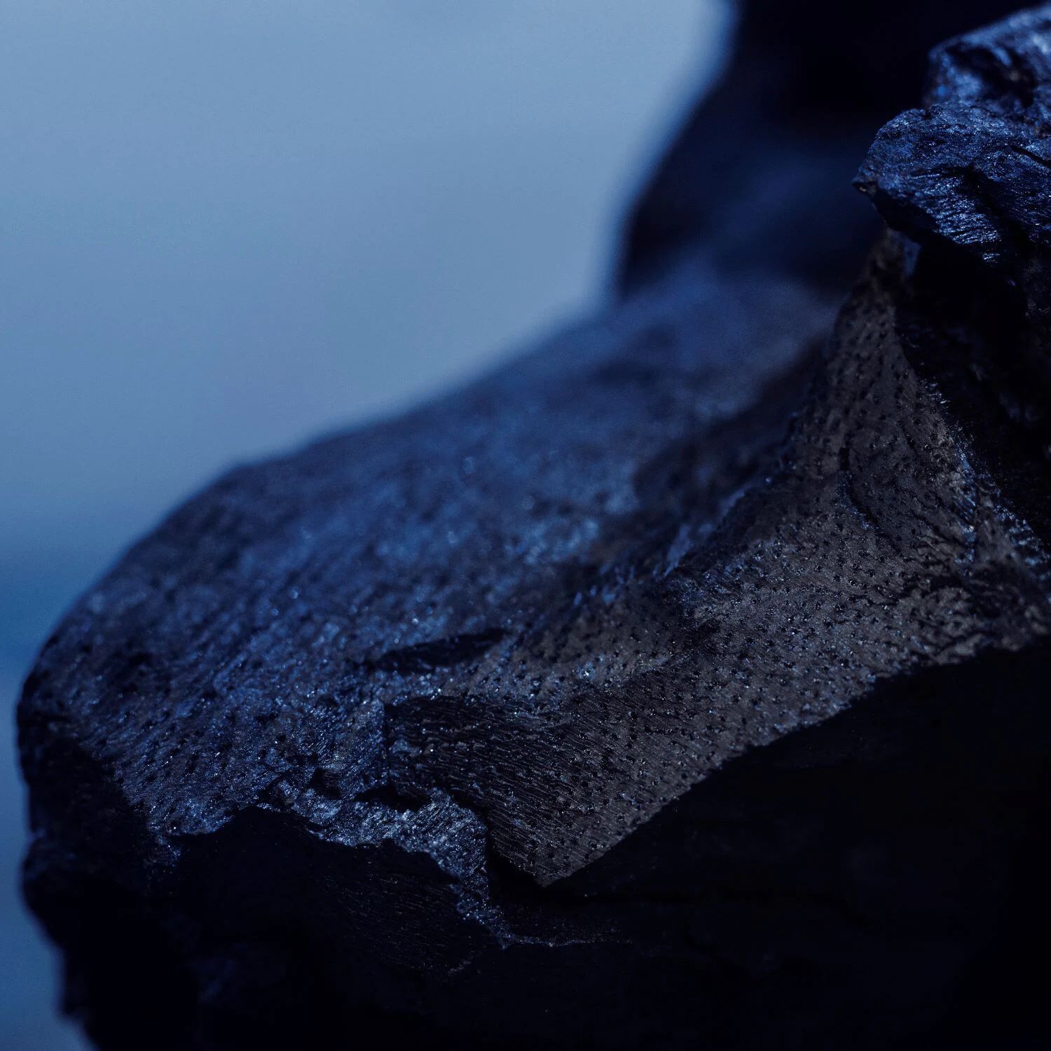 Y Eau de Toilette Yves Saint Laurent Cologne un nouveau parfum pour