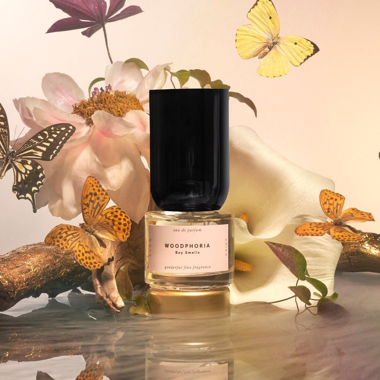 Woodphoria Boy Smells perfume a novo fragrância Compartilhável 2022