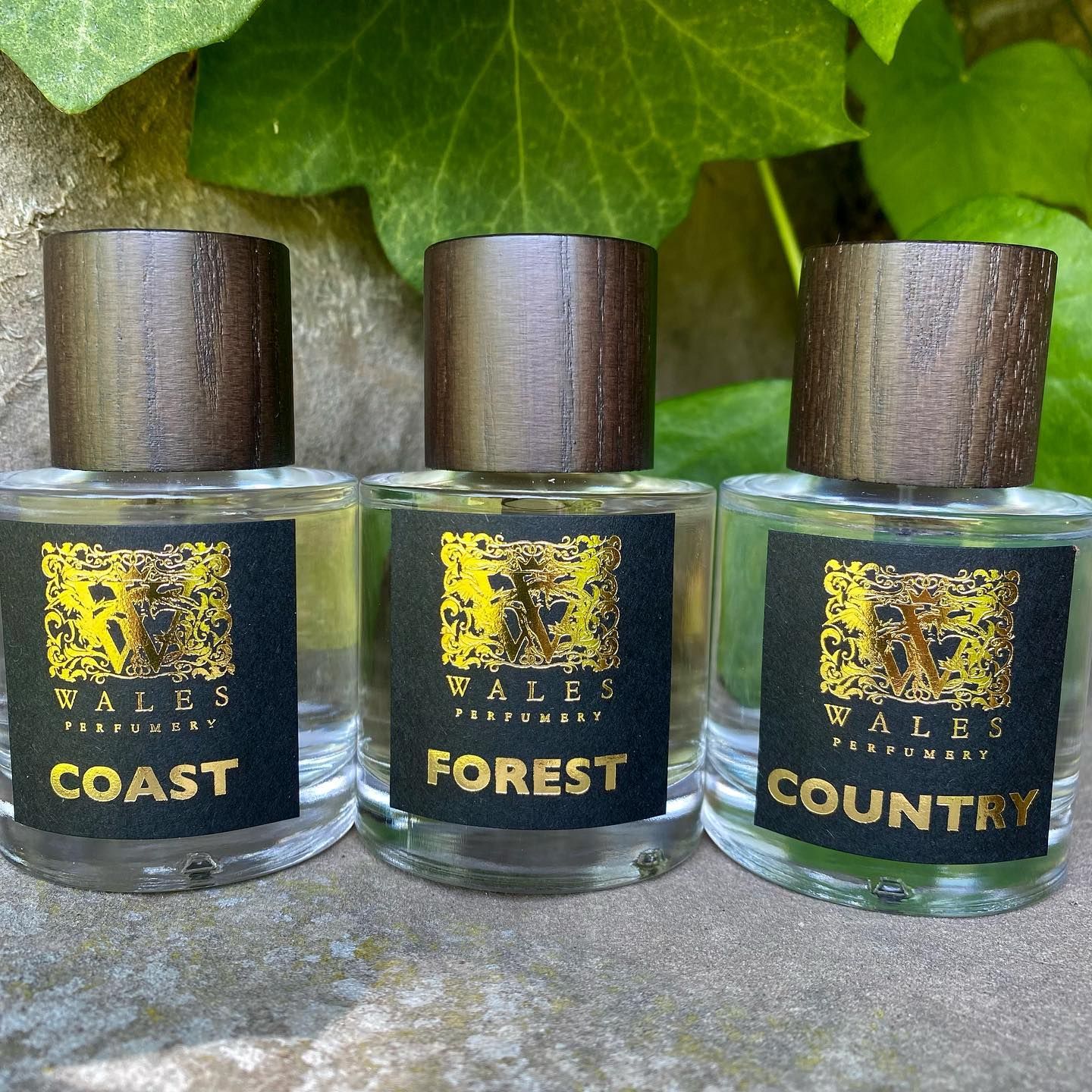 Forest eau de parfum 30ml main image 0