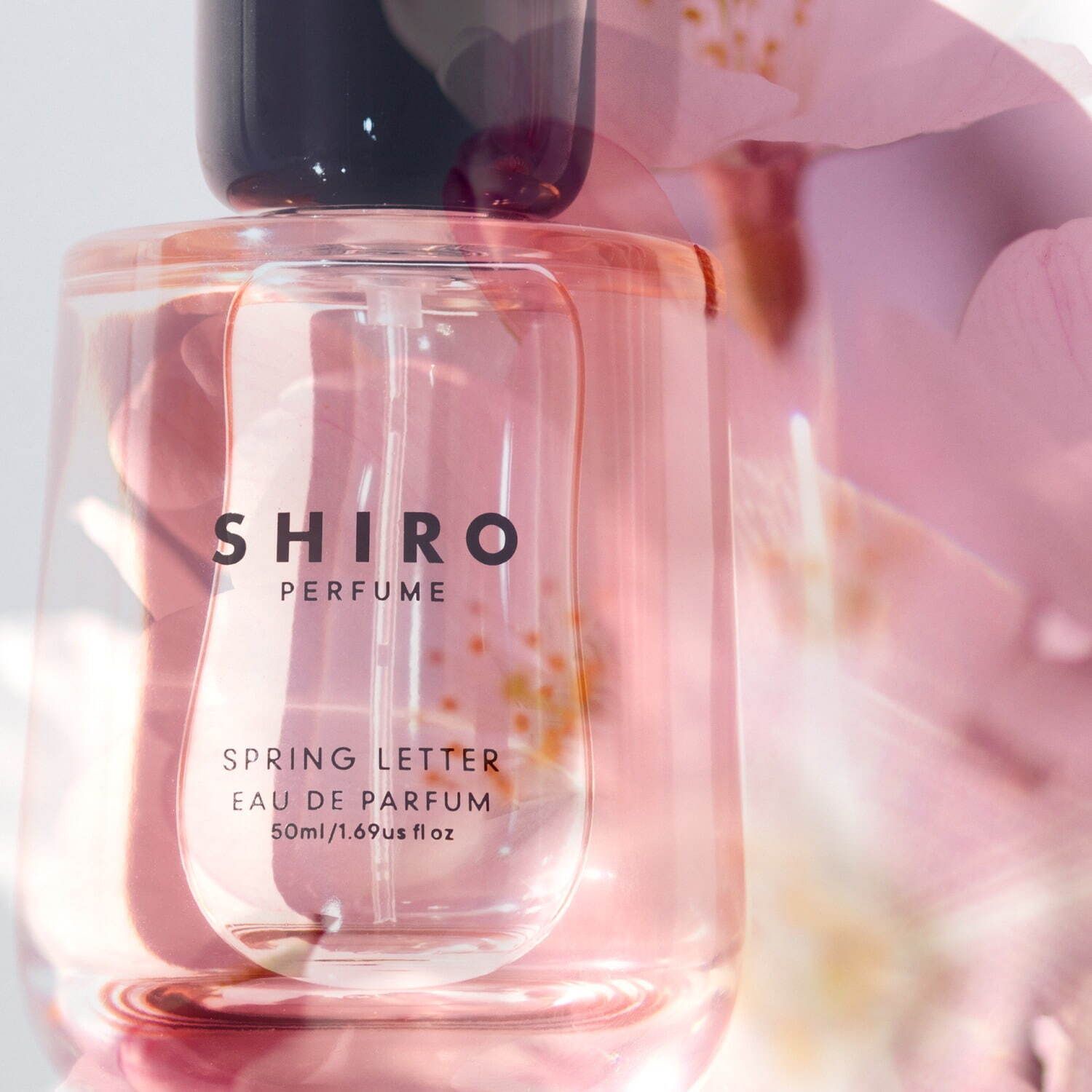 Spring Letter Shiro 香水- 一款2023年新的女用香水