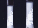 armani code luna