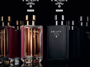 prada femme fragrantica