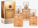 florence amber roberto cavalli