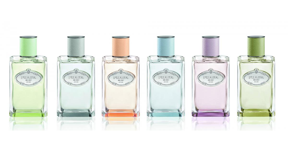 prada mimosa