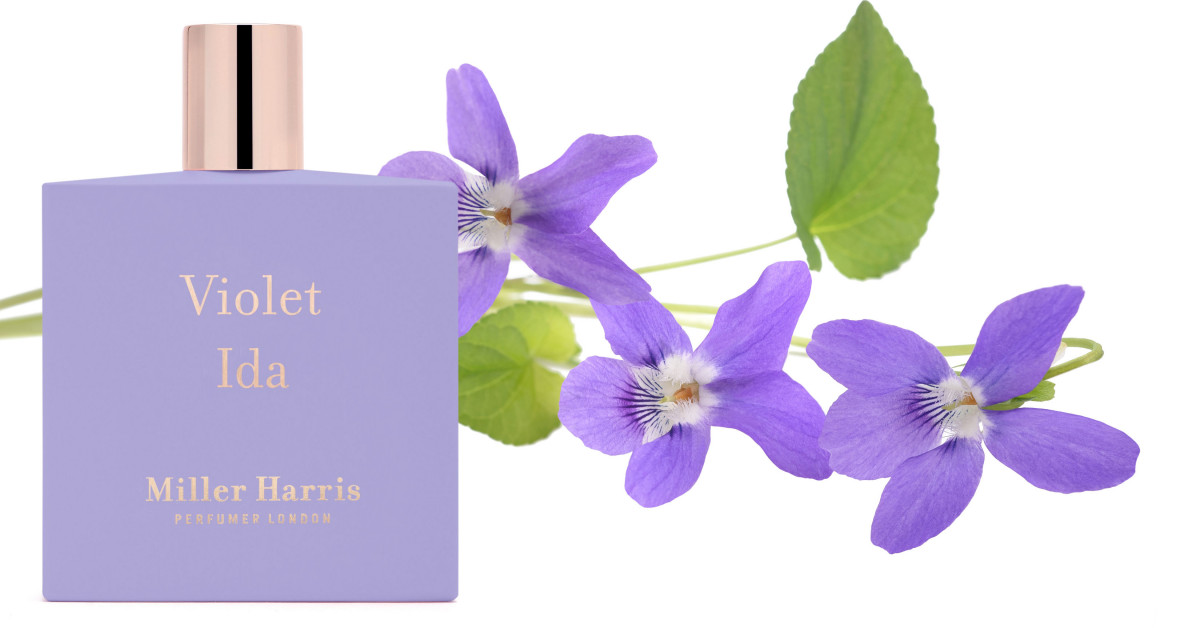Perfume De Violetas De Que Trata