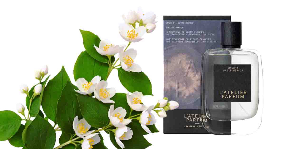 L atelier parfum salty wood