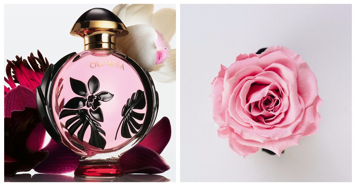 Olympea flora. Paco Rabanne Olympea Flora. Пако Рабан ангел и демон.