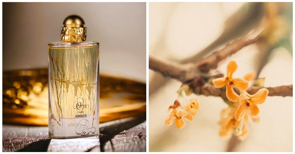 She knows j cole amber coffman. She knows эмбер коффман. Клип j cole she knows про что. She knows j cole обложка. She knows j cole обложка.