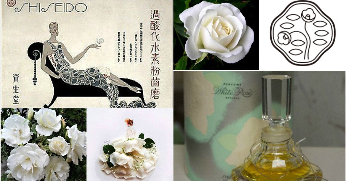 shiseido white rose perfume