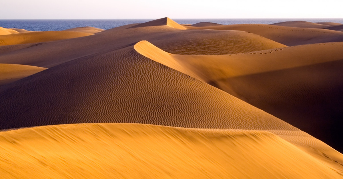 dune fragrantica